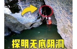 Lete抖阴：深度揭秘时下最火的短视频平台使用技巧与注意事项