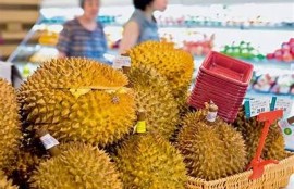探索榴莲的独有魅力，揭秘抖阴背后的美味之旅