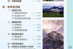 探索抖阴火凤：内容创作与网络营销的新机遇