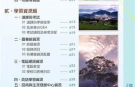 探索抖阴火凤：内容创作与网络营销的新机遇