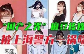 麻豆传媒免费观看次数大揭秘，带你畅享热门影片资源