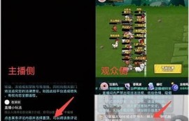 探秘抖阴互动直播：如何提升观众参与感与互动性
