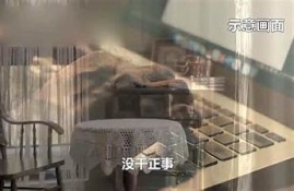 麻豆传媒三十天企划第4天：精彩内容抢先看，绝对不容错过！