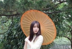 无需登录的抖阴APP，让您轻松畅享无限精彩内容