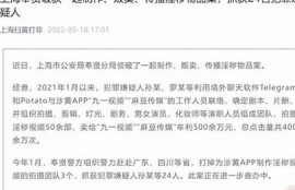 如何成为麻豆传媒创作者：经验分享与成功秘诀解析