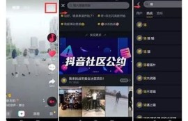 如何在抖音上进行有效的搜索？实用技巧分享