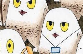 探索麻豆传媒课程：提升创意与营销技能的完美选择
