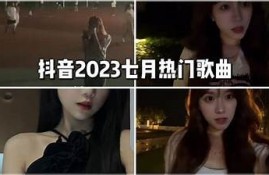 2023年抖音热门记录与潮流方向广泛研究