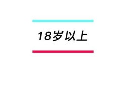 抖阴短视频攻略：如何轻松获取高浏览量与粉丝