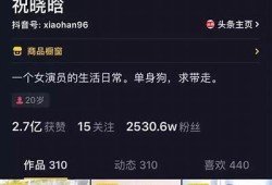 揭秘抖音短视频创作技巧，快速提升你的播放量和粉丝量！