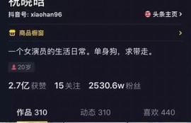 揭秘抖音短视频创作技巧，快速提升你的播放量和粉丝量！