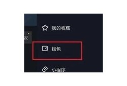 如何优化无线抖币，提升抖阴平台收益和用户体验
