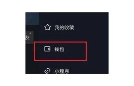 如何优化无线抖币，提升抖阴平台收益和用户体验