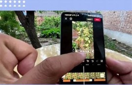 探秘抖阴：了解这一热门走向与背后文化