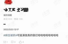 麻豆传媒演员表：顾美玲的精彩作品与个人简介