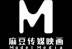 麻豆印传媒：打造印象深刻的品牌传播新模式