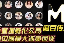 麻豆传媒的创立时间及其发展历程解析