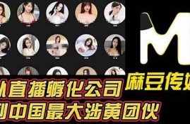 麻豆传媒的创立时间及其发展历程解析