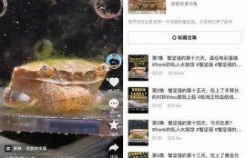 抖音小妖精：揭秘短视频平台上的热门新星与其独有魅力