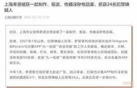 探索麻豆文化传媒：小视频创作技巧与成功案例分享