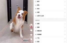 抖音破解版下载：2023最新无限功能版，完美体验！