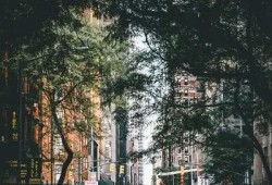 详细步骤教你轻松下载抖阴视频，快速实用技巧分享