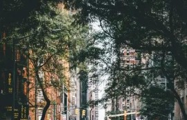 详细步骤教你轻松下载抖阴视频，快速实用技巧分享