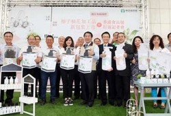 欧洲麻豆果冻传媒：探索创意与影视的完美结合