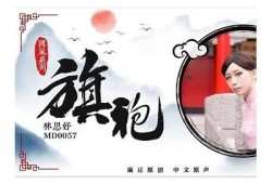 探索麻豆原创传媒男演员的才华与魅力，精彩作品大盘点
