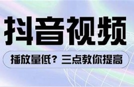 抖音优化版2.00：提升视频曝光率与粉丝增长的终极指南