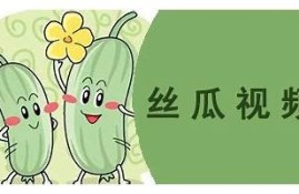 丝瓜视频全集：抖阴精彩内容全解析与观看指南