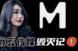 麻豆视传媒主角揭秘：明星背后的故事与奋斗历程