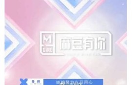 麻豆传媒成立时间及其发展历程揭秘