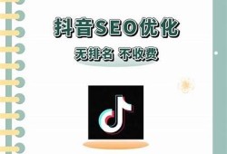 抖阴优化攻略：提升关键词排名的实用技巧与策略