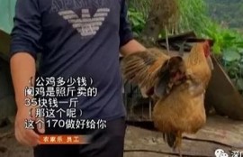 麻豆破解短视频传媒app下载：轻松获取精彩短视频内容