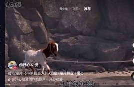 抖音app电视版使用教程：畅享高清短视频新体验
