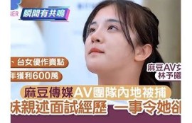 麻豆7传媒工作证介绍：如何申请与获取流程详细解析