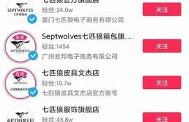 抖音最新玩法揭秘：如何提高视频曝光率和粉丝互动？