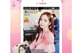 抖阴app破解版1.6.1下载：揭秘使用技巧与安全风险