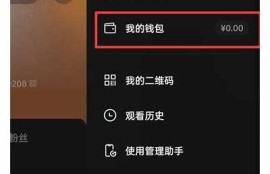 抖阴充值方法详解：轻松快速充值攻略分享