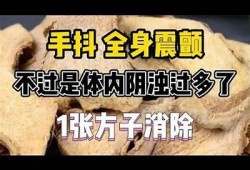 解决抖阴闪退难关的有效方法与技巧，轻松畅享视频体验