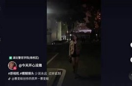 抖音视频无限次观看版：畅享精彩视频无需限制，轻松分享乐趣！