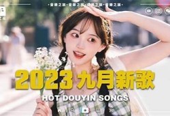 抖音热门歌曲寂寞的路上歌词解析与推荐，让你在孤独时刻感受音乐的力量