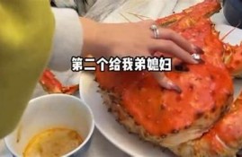 国产麻豆传媒带你探索小舅子的精彩故事与生活揭秘