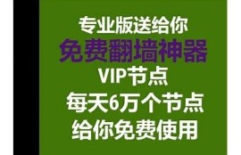 最强抖阴翻墙器推荐：畅享无阻网络体验，轻松访问抖音