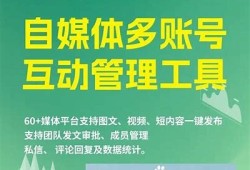 抖音会员账号共享平台解析，安全性与使用体验广泛剖析