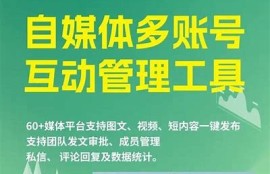 抖音会员账号共享平台解析，安全性与使用体验广泛剖析
