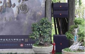 使用草莓APP畅享抖阴乐趣，获取最新视频与社交体验！