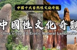 畅游自然之美：欣赏抖阴野花视频，感受春日绚烂