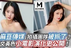 麻豆传媒映画推荐：值得一看的经典作品汇总